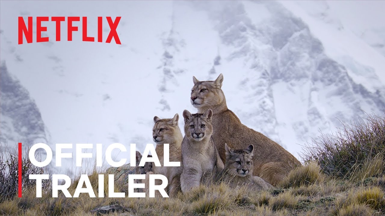 Official Netflix Trailer