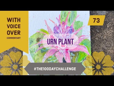 73/100 urn plant voice over commentary