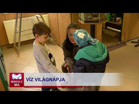 Videó előnézet