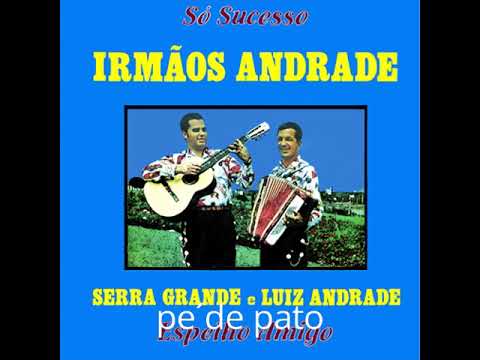 Pé De Pato - Irmãos Andrade