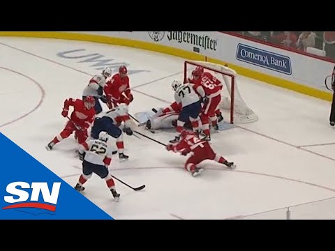 Red Wings Sacrifice Their Bodies During A Crazy Sequence Of Blocked Shots