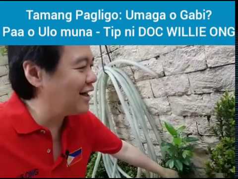 Mawalan ng timbang mabilis at nang walang pinsala sa kalusugan at diyeta Pagsasanay para sa pag-reset ng sobra sa timbang