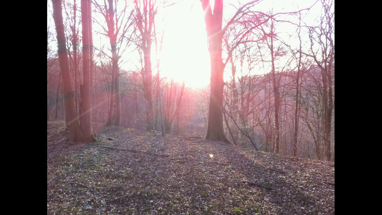 Santé et Guérison par le Jeune - A. Ehret Livre Audio