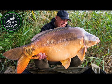 Karpfenangeln VTB 96 - 24 Stunden Session am Parksee // Mit Unterwasser Live-Biss