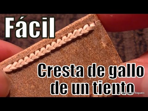 Cockscomb of a "El Rincón del Soguero" beef tiento