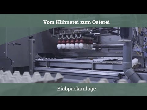 Entdecker-Tour 2022: Vom Hühnerei zum Osterei – Die Eierabpackanlage