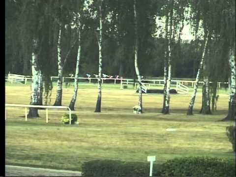 LL, 8. 8. 2015, 2. dostih - CENA SPOLEČNOSTI KENOX