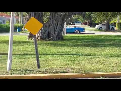 1969 Chevrolet Camaro SS (CC-1603489) for sale in Coconut Grove, Florida