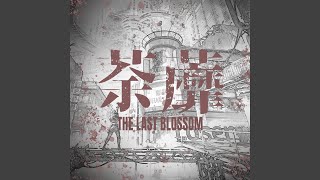 Download lagu Tu Mi mp3