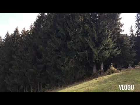 Drumul spre Mânăstirea Bran