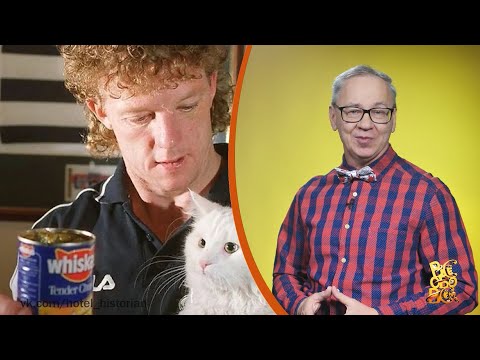 Всё обо всём. Гарри Вискас. Выпуск от 02.02.26