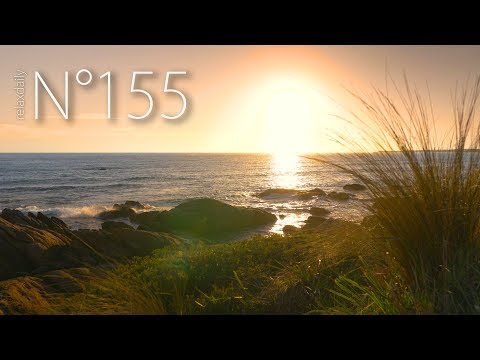 download lagu mp3 mp4 Inner Trust, download mp3 Inner Trust free download mp3, download mp3 Inner Trust