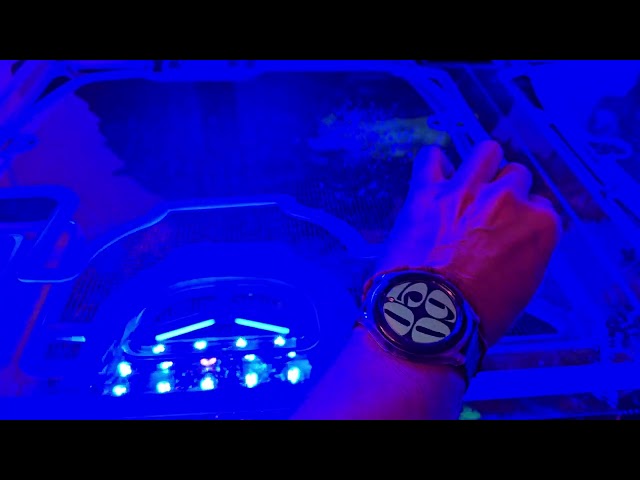 Judge.me YouTube video placeholder