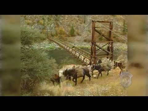 Quality vs. Quantity