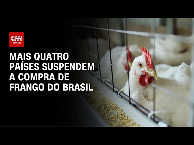 Gripe aviária: Mais quatro países suspendem compra de frango do Brasil | CNN 360º