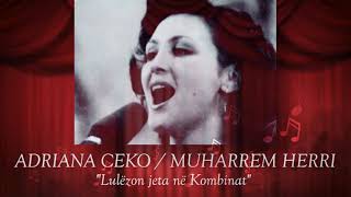 Adriana Ceka & Muharrem Herri - Lulëzon Jeta Në Kombinat