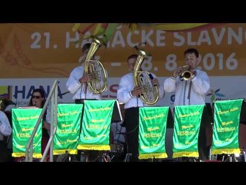 Moravská Veselka - Cesta do Kůtů