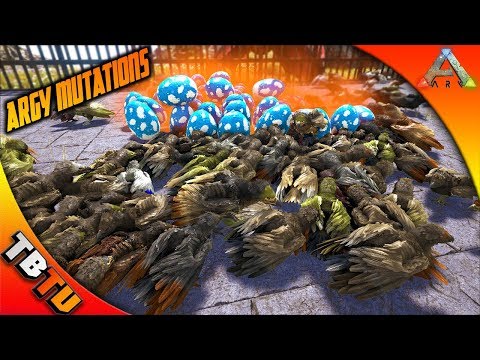 ARGENTAVIS EGG HATCHENING! ARGENTAVIS COLOR MUTATIONS! Ark Survival Breeding Evolved