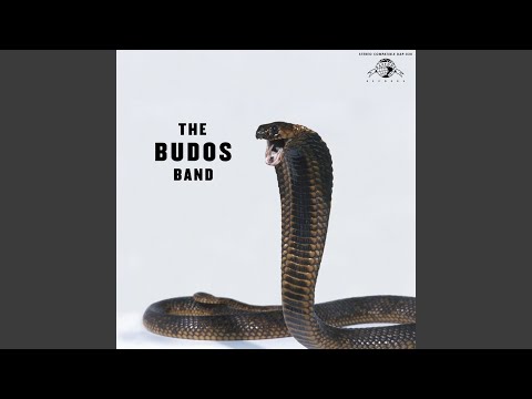 Виниловая пластинка The Budos Band - The Budos Band III LP