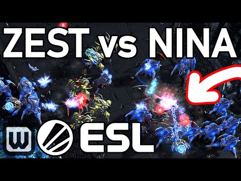 Starcraft 2 ESL Open Finals: PROTOSS CHEESE OFF (Zest vs Nina) [NA #57]