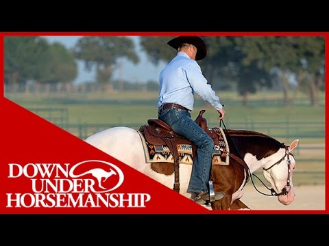 Clinton Anderson Presents: Titan a Legend in the Making, Lesson 5, Part 1 - Downunder Horsemanship