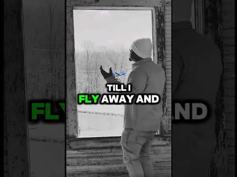 JAI NOIR Music Video