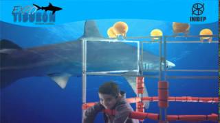 DIA 2 Expo Tiburon20