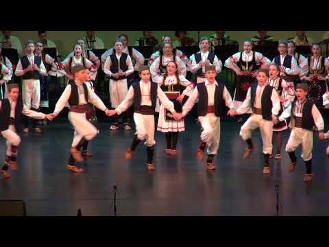 JA U SAPCU NA PIJACU