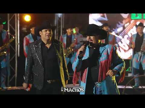 BANDA MACHOS Y MARCO FLORES   LA CULEBRA