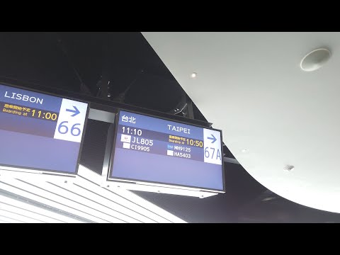 Taipei Travelogue Parte 1 Classe Econômica JAL Aloft Taipei Zhongshan