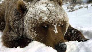 Almost Blue - Everything But the Girl