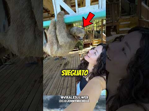 Non SVEGLIARE MAI questo ANIMALE😱