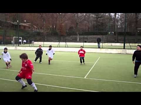 2013 12 15 Pulcini Albano c5 Cynthianum