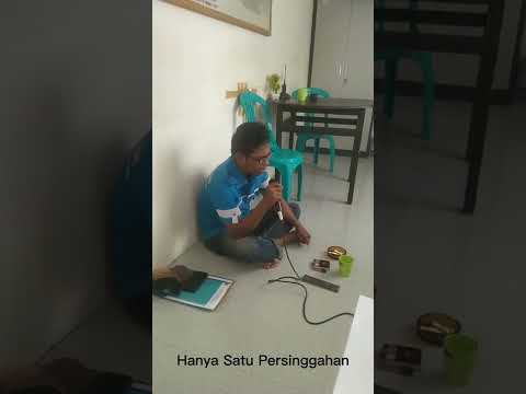 HANYA SATU PERSINGGAHAN SALEEM IKLIM/EKAMATRA - COVER BY : CAK MAT