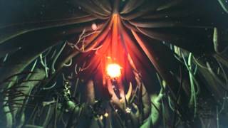 God Send Us a Signal   Hammock