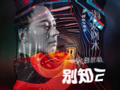 Bie zhi ji (lyrics) - hai lai a mu 海来阿木