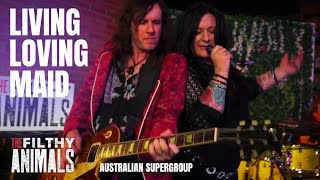 Living Loving Maid - LED ZEPPELIN cover by The Filthy Animals