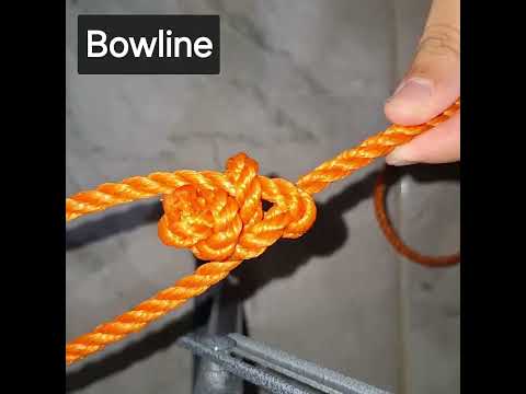 8 knots you need to know