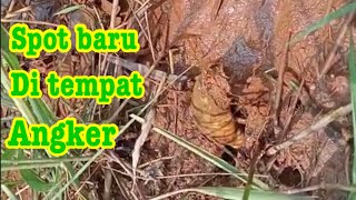 Download lagu NOMPLOK LUCK ️ EEL FISHING IN A HAUNTED PLACE ️ Abundant RESULTS mp3