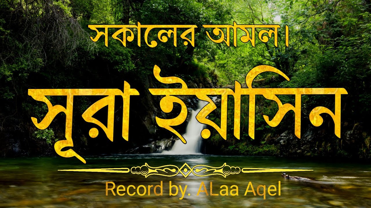 সকালের সেরা আমল সূরা ইয়াসিন আবেগময়ী কন্ঠে তেলাওয়াত। Surah Yaseen recitation by alaa aqel