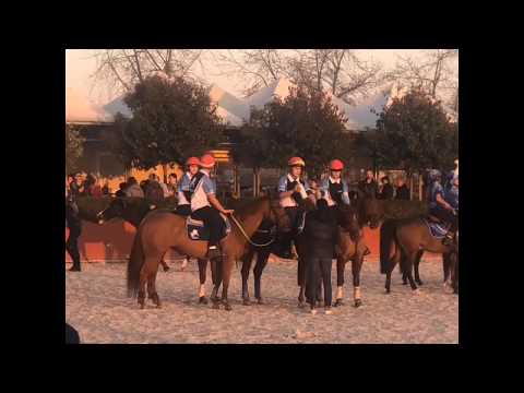 Mounted games 1 tappa TROFEO 4 regioni 2019