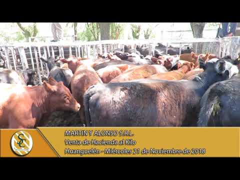 21-11-18 Venta de Hacienda al Kilo - Martin y Alonso S.R.L. - Huanguelén