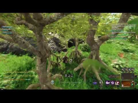 New World Best Bug Ever :D