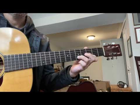 "Turkey In The Straw" Don Reno