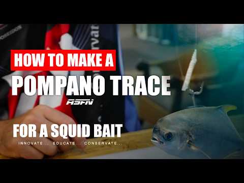 Pompano Trace Using SQUID/Chokka | ASFN Baits & Traces