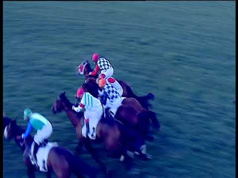 Galoppo 12/02/2019 - 3ª corsa