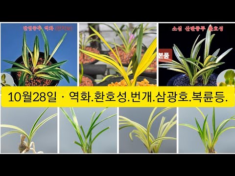유튜브 썸네일