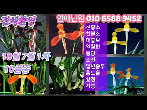 유튜브 썸네일