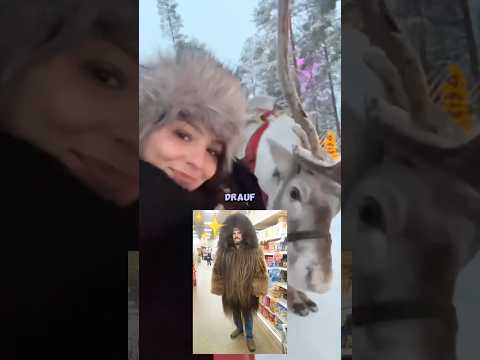 Feli sieht zum ersten Mal Rentiere 🫎🤌✨