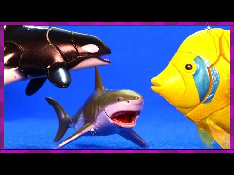 Surprise SHARK TOYS, Killer Whales, Sea Animals, Toy Sharks Eggs Youtube Video for Kids